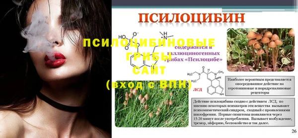 первитин Белокуриха